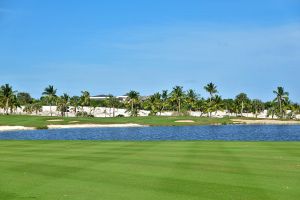 Punta Espada 15th Fairway